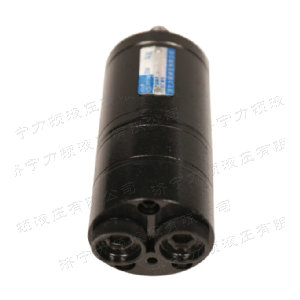 登录入口后油口系列马达