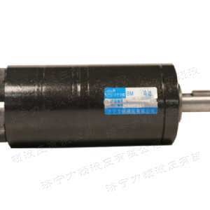 登录入口后油口系列马达