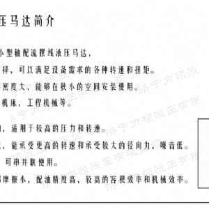 登录入口后油口系列马达