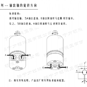 登录入口后油口系列马达