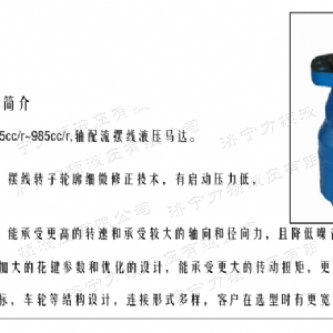 BMH系列并列油口爱游戏(中国)axy·官方网站马达
