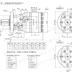 BMH系列交错油口爱游戏(中国)axy·官方网站马达